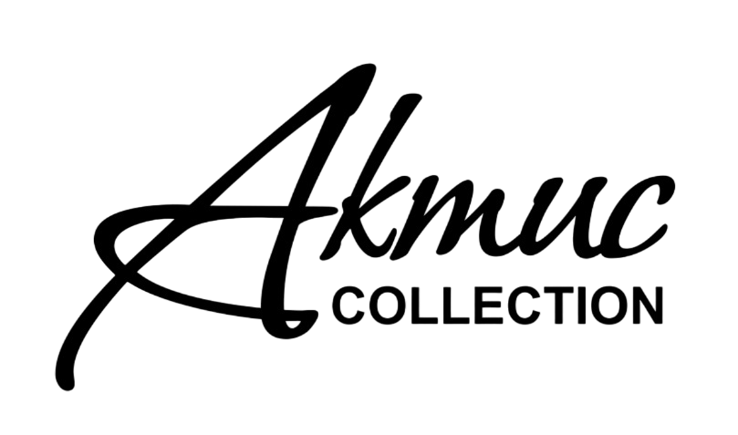 Aktis logo