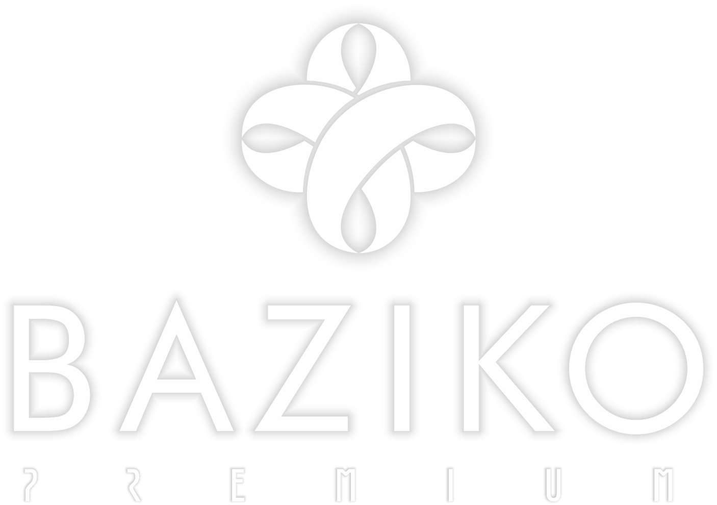 Baziko logo